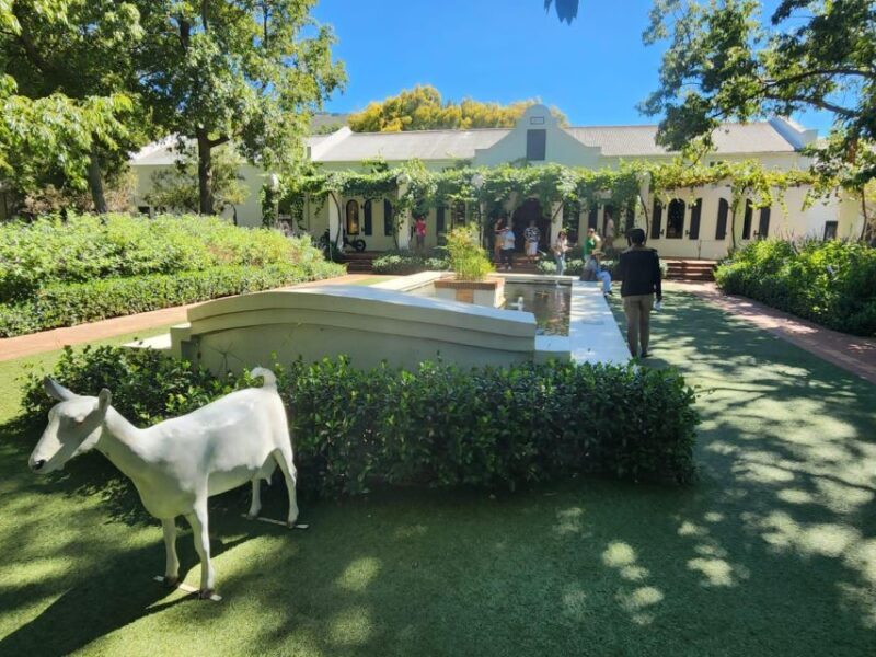 Tour the Winelands: Stellenbosch to Franschhoek - A Closer Look at the Itinerary