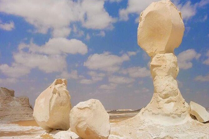 Tour Through White and Black desert Bahareya oasis - An In-Depth Look at the Tour Experience