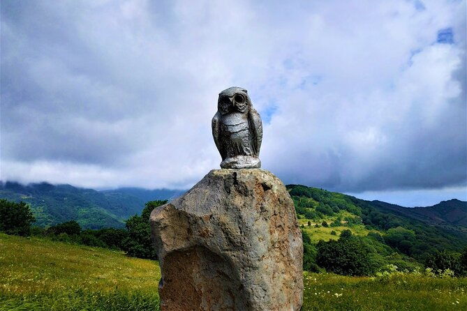 tour-to-didgori-valley-from-tbilisi-turtle-lake-ethnographic-museum-kojori