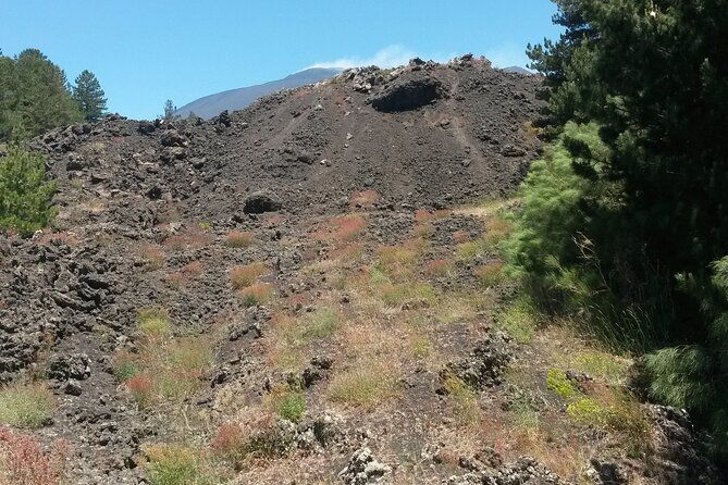 tour-to-etna-volcano-and-taormina-from-giardini-naxos-taormina
