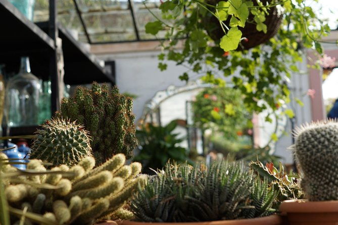 tour-to-gardenia-shevardnadze-flea-market-and-tbilisi-old-town