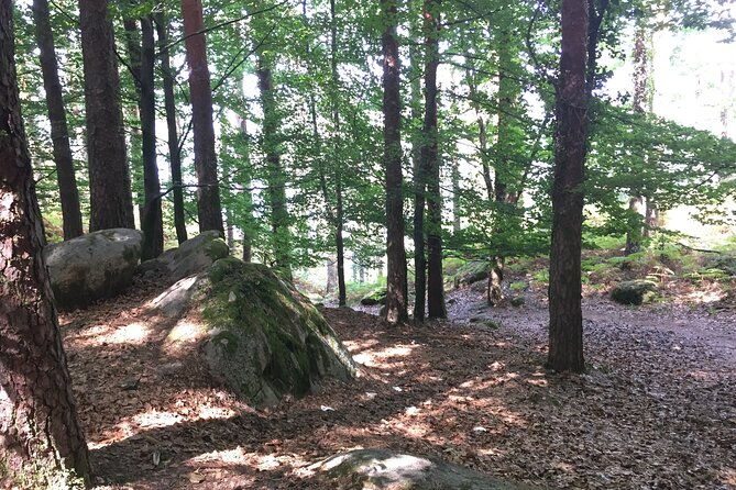 tour-to-geres-in-4x4-full-day-with-option-of-sup-tour