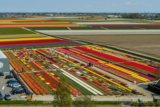 tour-to-giethoorn-and-keukenhof-tulip-fields-from-amsterdam