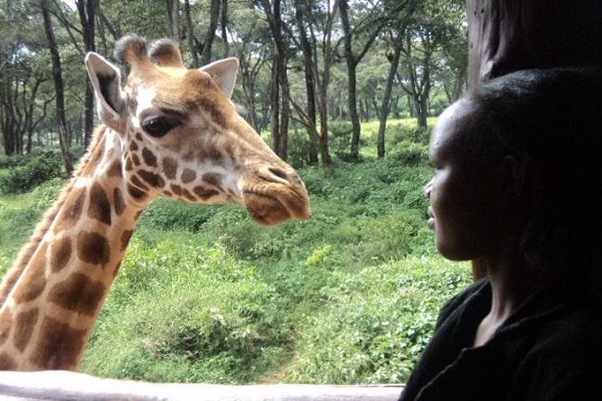 Tour to Giraffe Center from Nairobi - Frequently Asked Questions