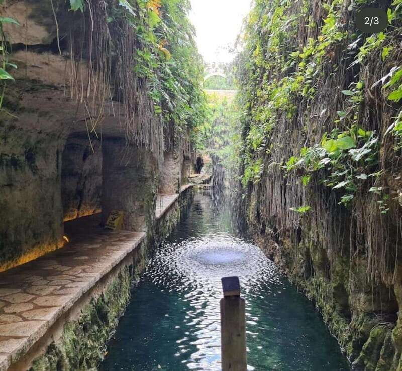 Tour to Hacienda Mucuyché & Hacienda Yunkú from Merida - Practical Tips for Your Day