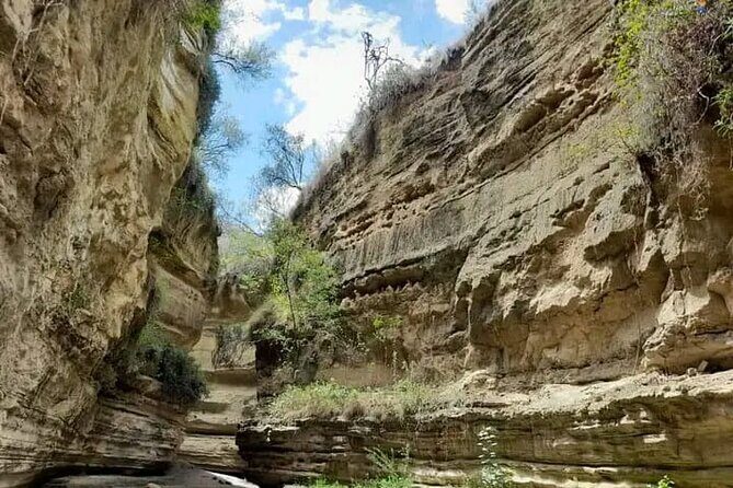 Tour to Hells Gate National park & L Naivasha boat ride - The Itinerary in Detail: What to Expect
