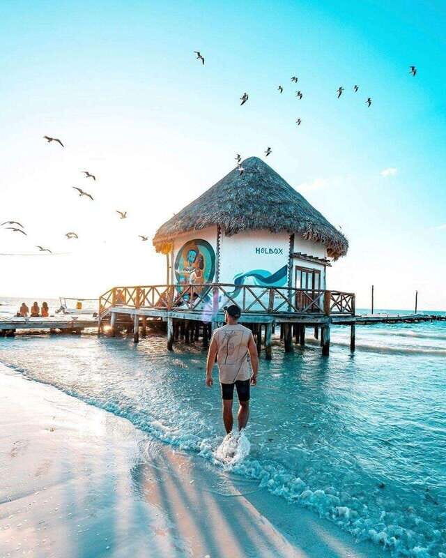 Tour to Holbox with food and transportation from Cancun, Playa del Carmen, and Tulum - What’s Included and What to Consider