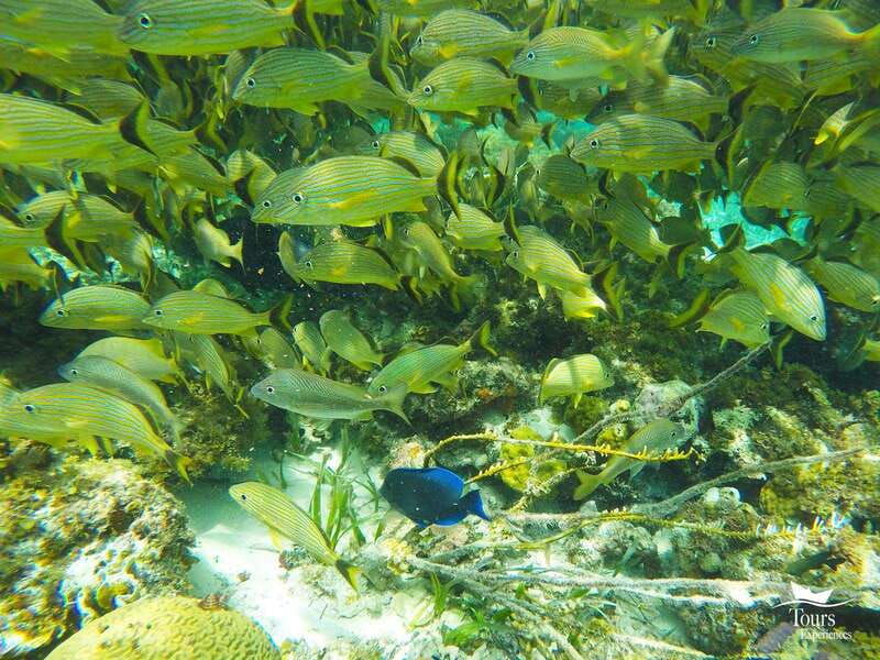 tour-to-isla-mujeres-with-open-bar-departure-at-noon