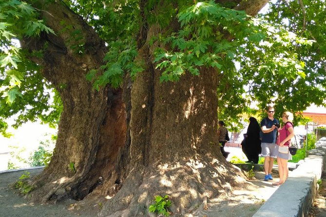 tour-to-kakheti-sighnaghi-bodbe-monastery-tsinandali-telavi-winery-gombori