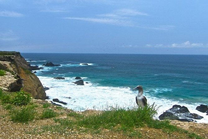 tour-to-la-plata-island-and-whales-watching