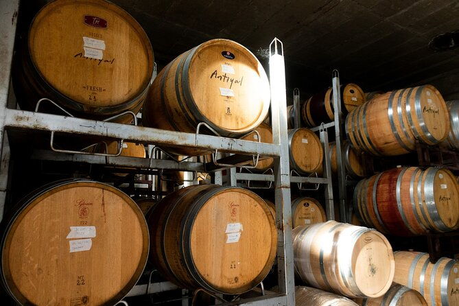 tour-to-maipo-boutique-wineries