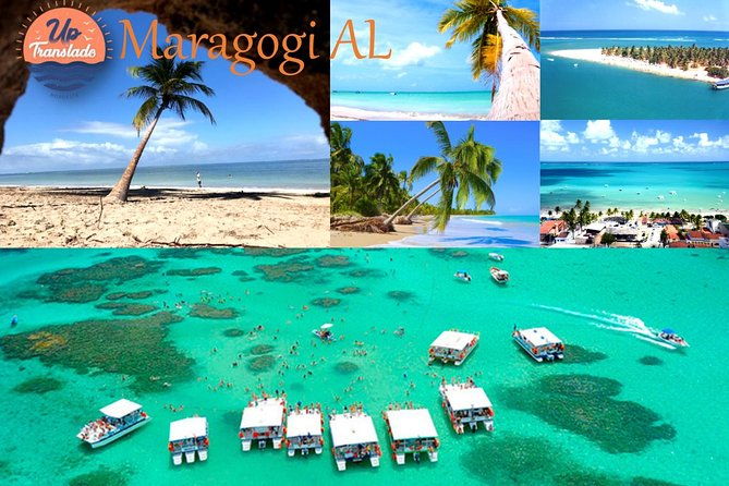 tour-to-maragogi-al