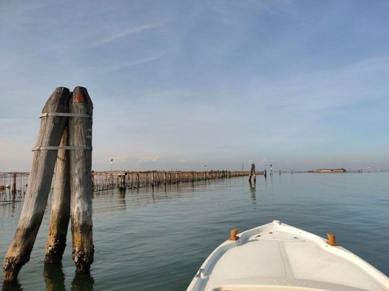 tour-to-pellestrina-in-a-typical-lagoon-boat-from-chioggia