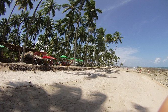 tour-to-praia-de-carneiros