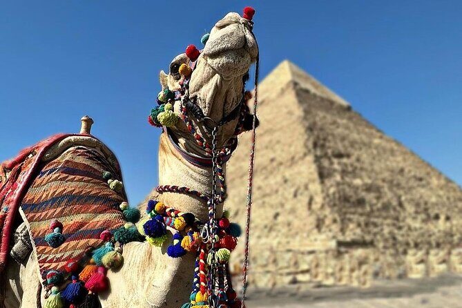 Tour to Pyramids and The Egyptian Museum - FAQ