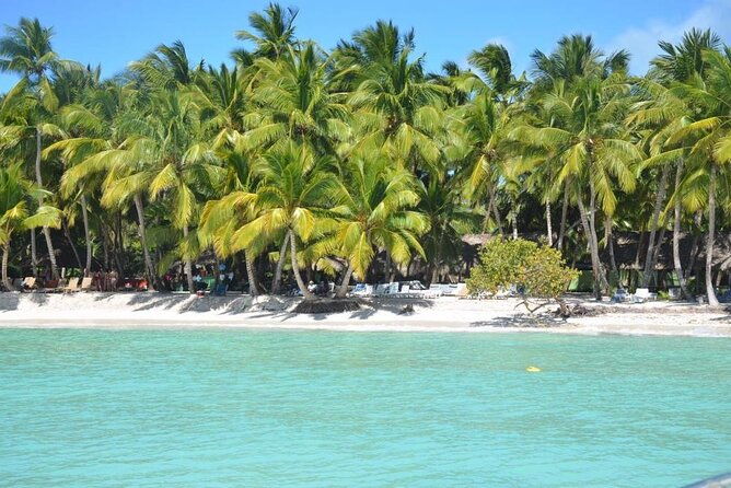 tour-to-saona-island-with-lunch-and-transportation