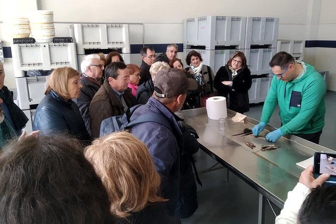 tour-to-the-anchovies-factory-and-santona-marshes-with-tasting