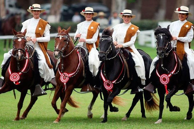 tour-to-the-archaeological-sanctuary-of-pachacamac-lunch-show-2