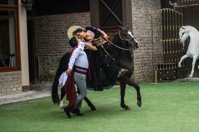tour-to-the-archaeological-sanctuary-of-pachacamac-lunch-show-2