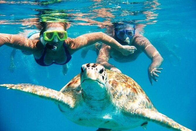 tour-to-the-best-beaches-and-snorkeling-with-turtles