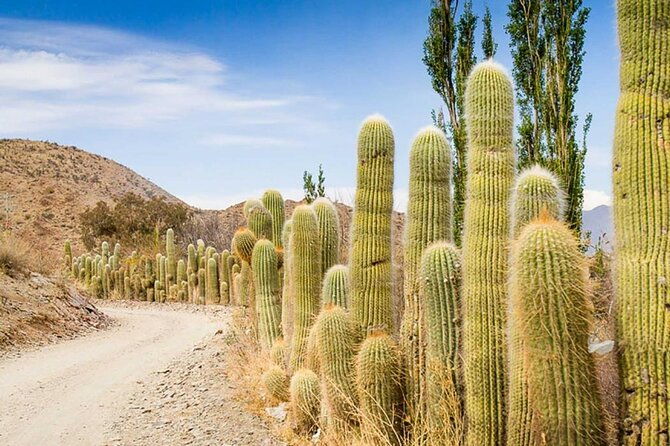 tour-to-the-magical-town-of-cachi-in-the-calchaqui-valleys