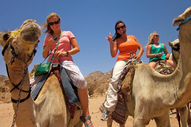Tour to the Pyramids, Egyptian Museum and Local Bazaar from Cairo - Final Thoughts: Who Should Book This Tour?