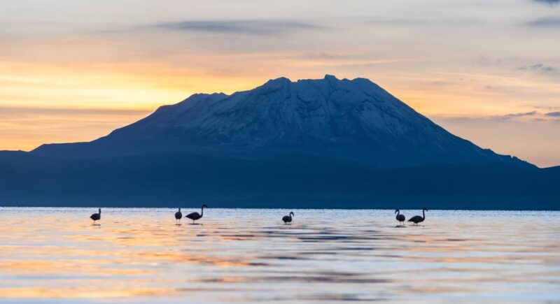 tour-to-the-salinas-lagoon-and-national-reserve-in-arequipa