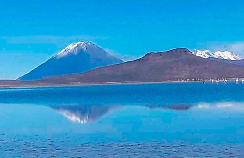 tour-to-the-salinas-lagoon-and-national-reserve-in-arequipa