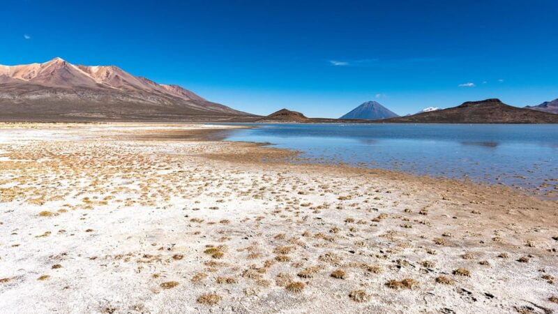 tour-to-the-salinas-lagoon-and-national-reserve-in-arequipa
