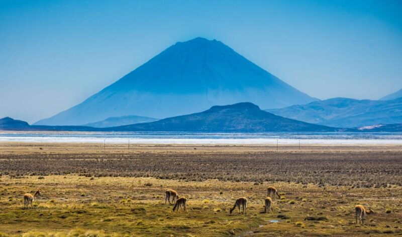 tour-to-the-salinas-lagoon-and-national-reserve-in-arequipa