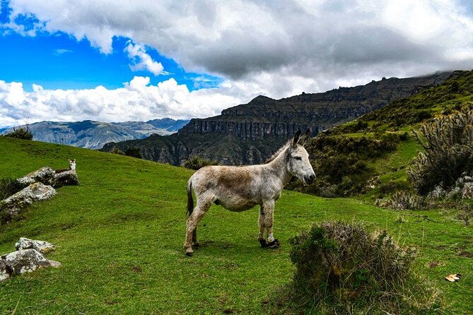tour-to-the-waqrapukara-archaeological-complex-from-cusco