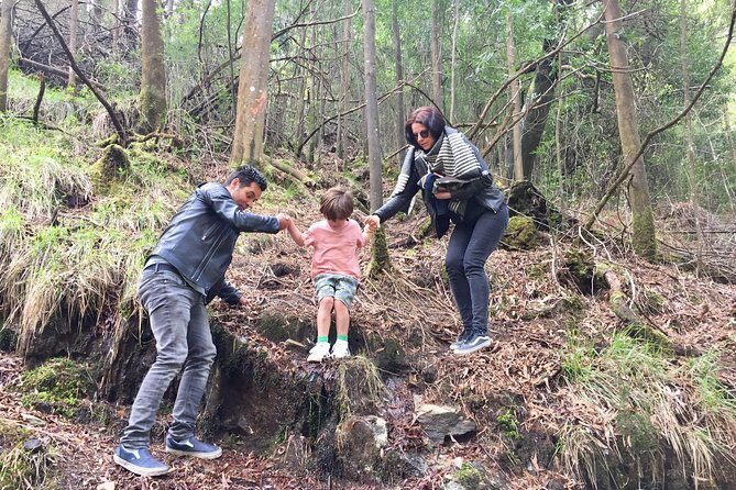 Tour to the Waterfalls in 4x4 full day - The Sum Up: Is This Tour Right for You?