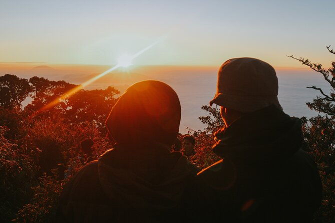 tour-to-tierra-del-fuego-national-park-from-ushuaia
