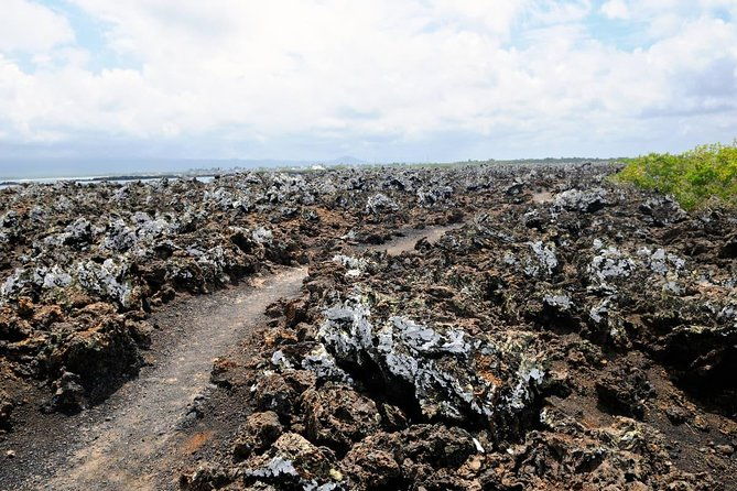 tour-to-tintoreras-bay-from-isabela-island