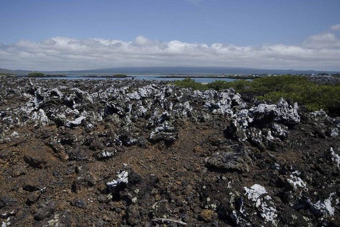 tour-to-tintoreras-bay-from-isabela-island