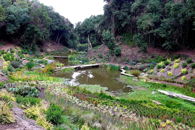 tour-to-tricao-park-aviary-and-pomaire-full-day-from-santiago