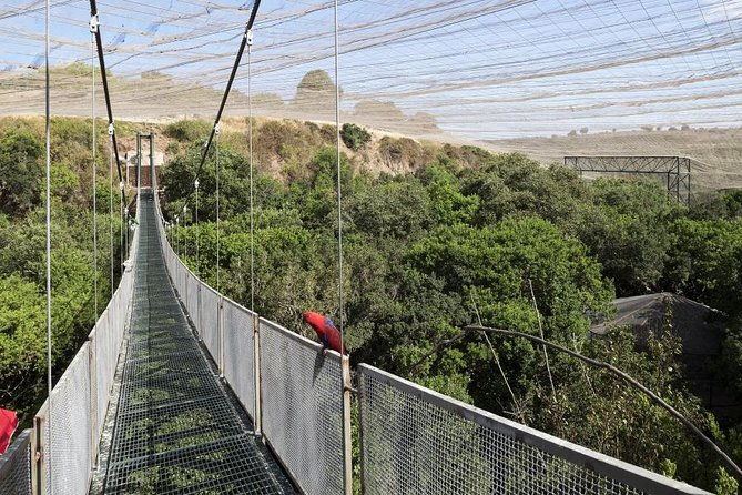 tour-to-tricao-park-aviary-and-pomaire-full-day-from-santiago