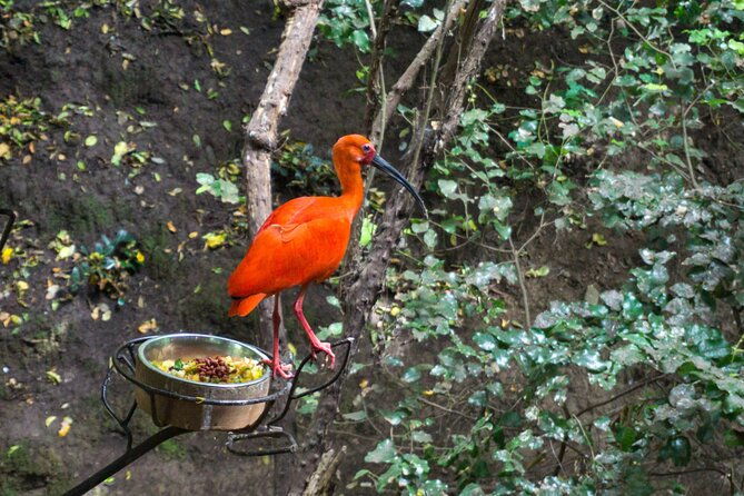 tour-tricao-park-black-isle-and-neruda-museum-with-lunch