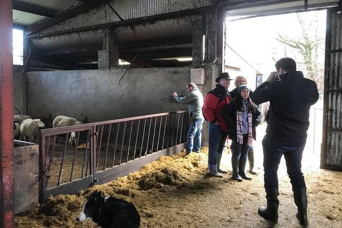 tour-wicklow-mountains-national-park-in-a-limo-with-private-guide