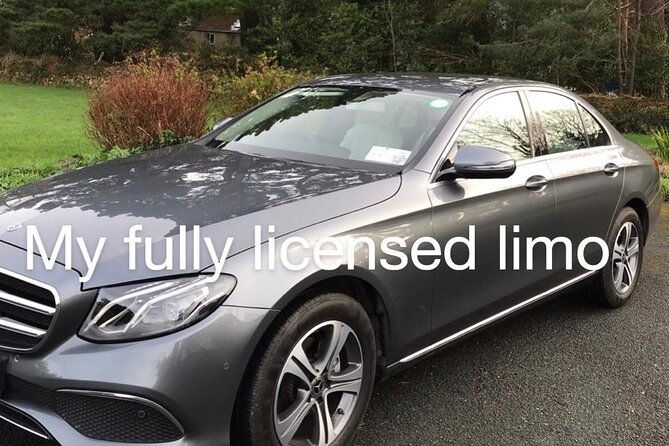 tour-wicklow-mountains-national-park-in-a-limo-with-private-guide