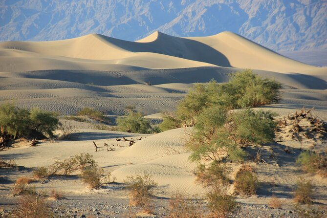 tour-with-french-guide-of-death-valley