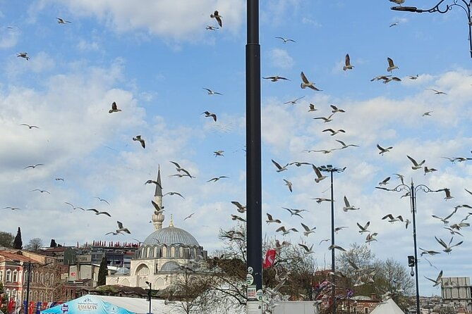 tour-with-guide-taha