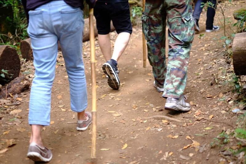 Tour with Hike in Kiew Mae Pan Natural Trail from Chiang Mai - The Details That Matter: A Deep Dive into the Tour