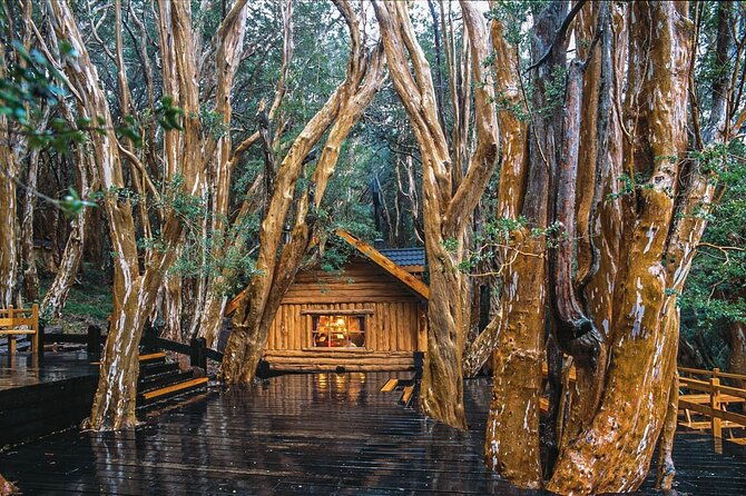 tour-with-navigation-to-the-arrayanes-forest-and-victoria-island