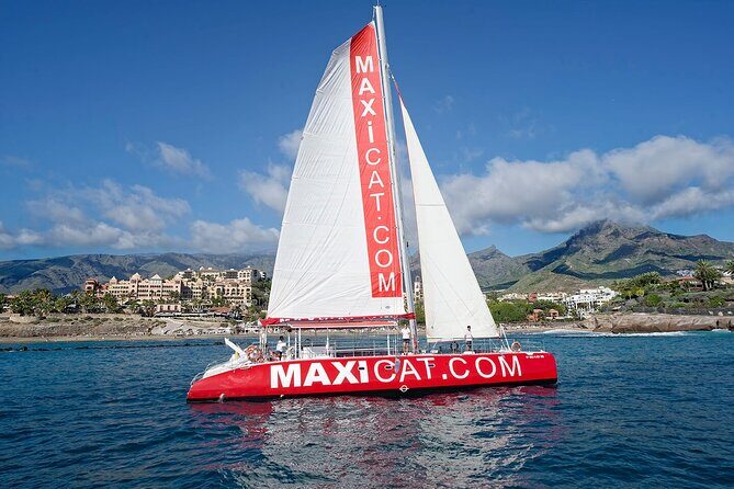 Tour with Whale and Dolphin Watching plus food included - Authentic Cetacean Encounters and Coastal Relaxation in Tenerife