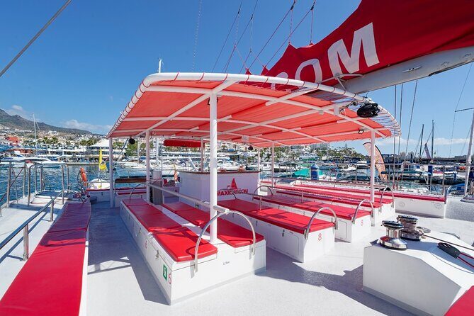 Tour with Whale and Dolphin Watching plus food included - An In-Depth Look at the Tenerife Whale and Dolphin Tour