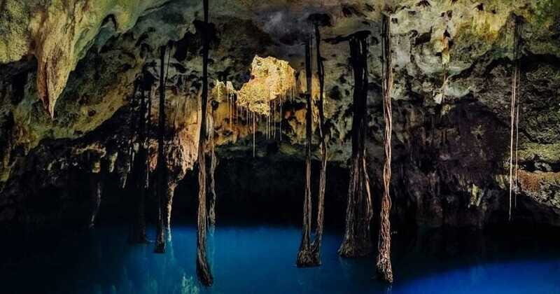 Tour Xenotes Oasis Maya - Exploring the Itinerary: What to Expect from Start to Finish