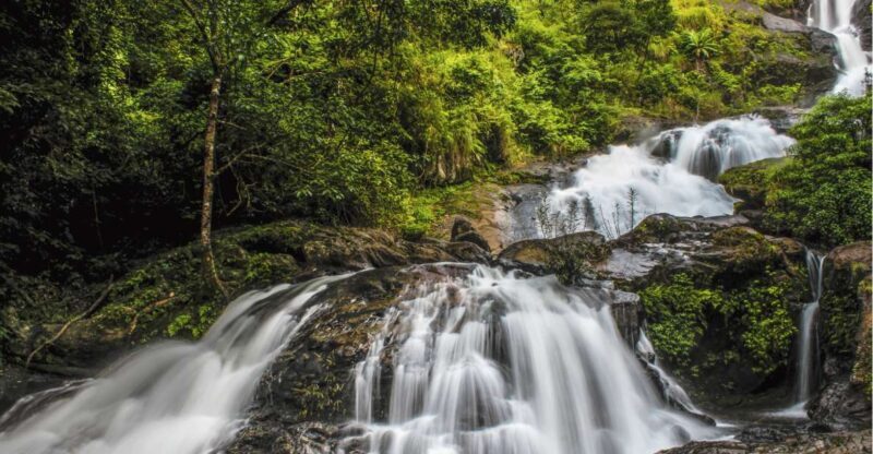 Touristic Highlights of Coorg (Guided Full Day Tour by car) - Who Is This Tour Best Suited For?