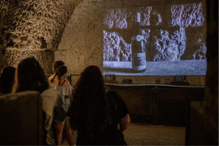 tours-amboise-private-chambord-and-chenonceau-chateau-tour