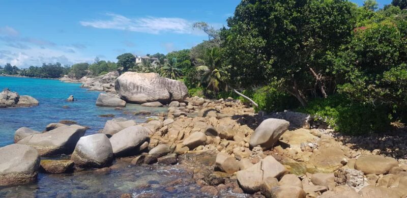 Tours and Hikes for Couples, Solo Travelers or Families - Discover the Beauty of Seychelles with a Customizable Guided Tour